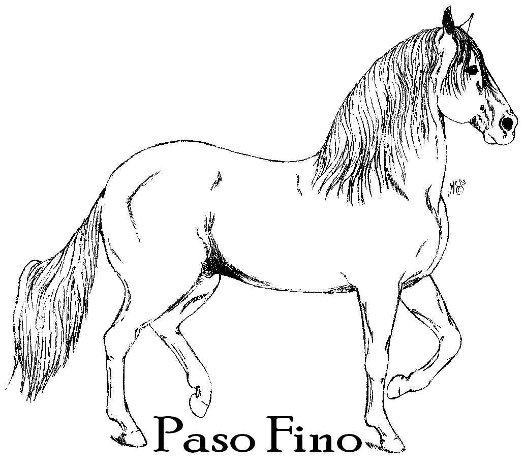 Paso Fino Horse design